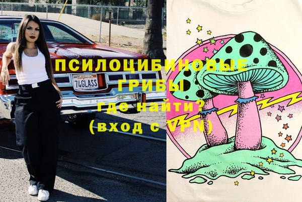 МДПВ Абаза