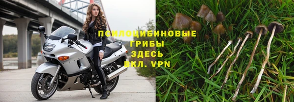 ешки Абдулино