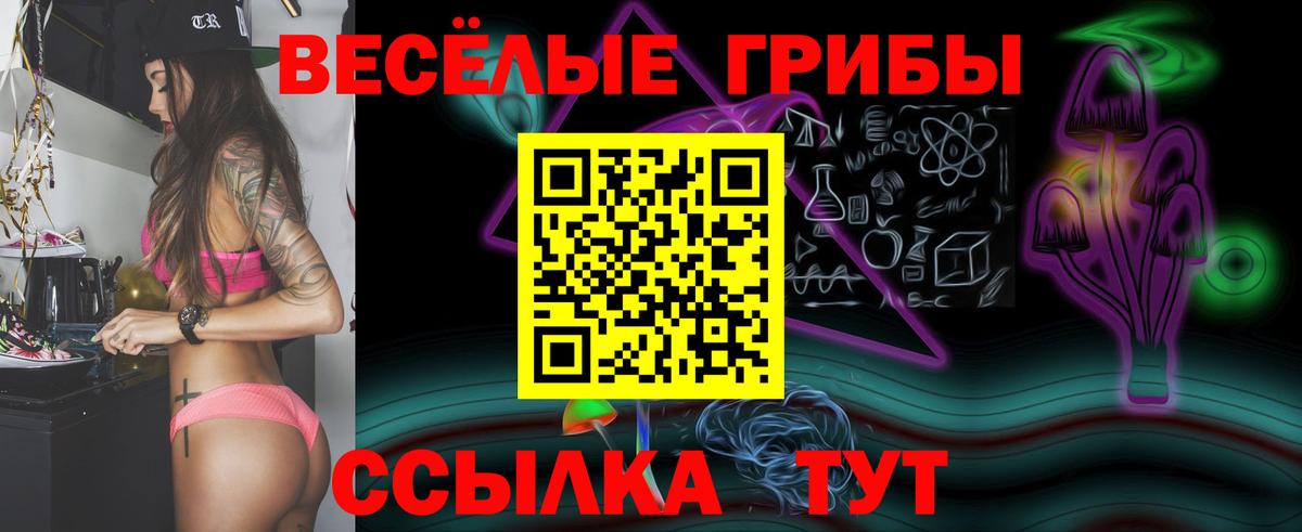 Псилоцибиновые грибы Psilocybine cubensis Нижневартовск